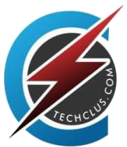 Techclus Global Services Limited